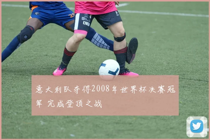 意大利队夺得2008年世界杯决赛冠军 完成登顶之战