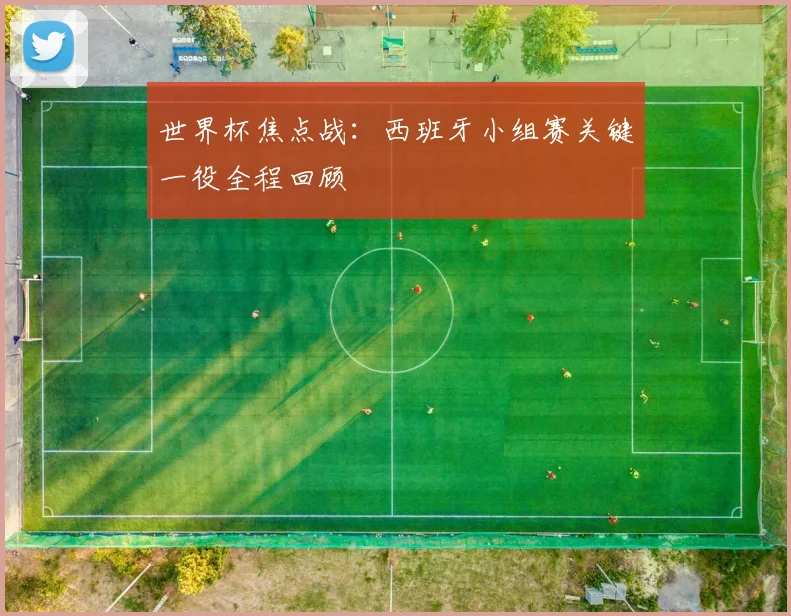 世界杯焦点战:西班牙小组赛关键一役全程回顾