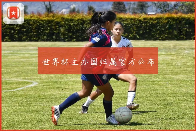 世界杯主办国归属官方公布