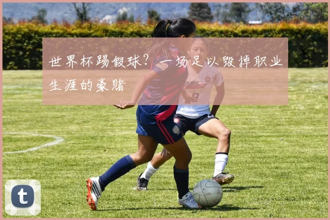 世界杯踢假球?一场足以毁掉职业生涯的豪赌
