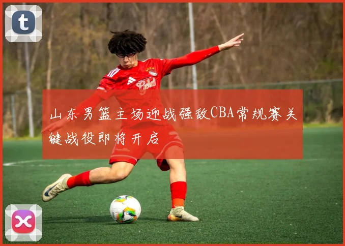 山东男篮主场迎战强敌CBA常规赛关键战役即将开启