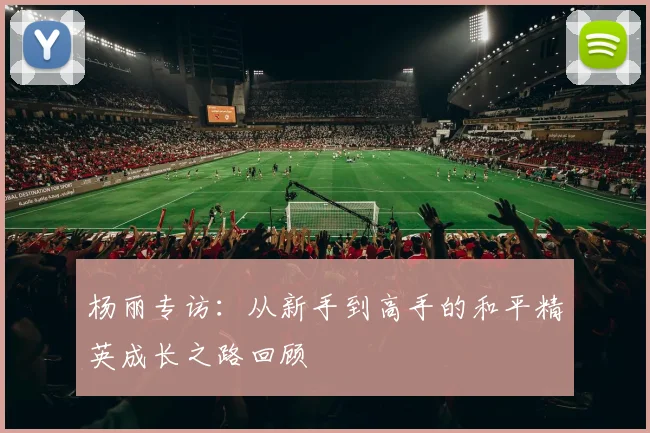 杨丽专访:从新手到高手的和平精英成长之路回顾