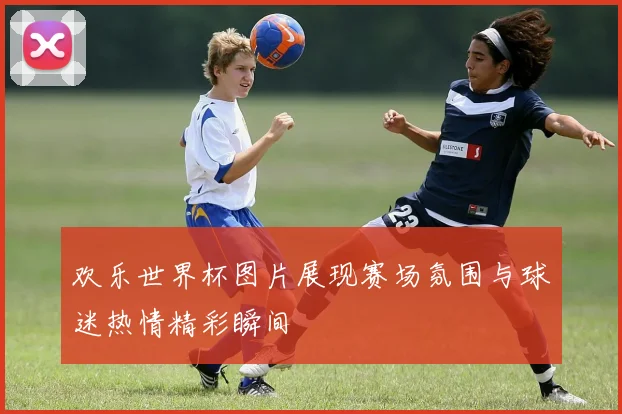 欢乐世界杯图片展现赛场氛围与球迷热情精彩瞬间