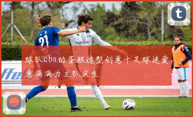 球队cba的蛋糕造型创意十足球迷爱意满满为主队庆生