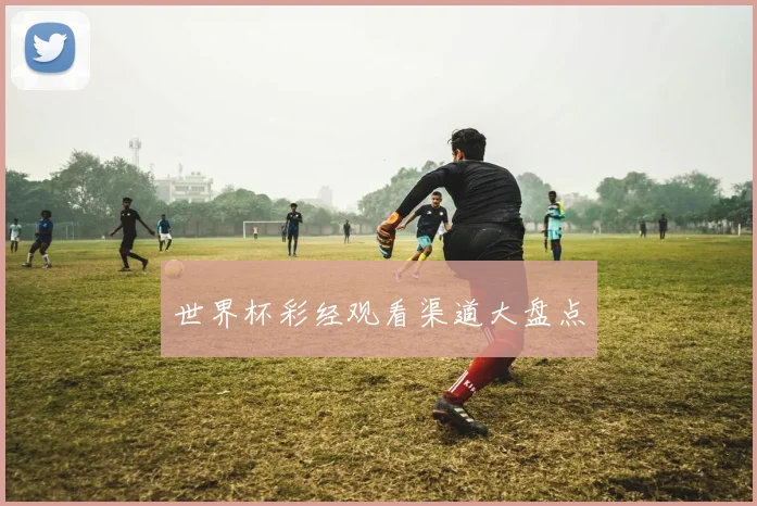世界杯彩经观看渠道大盘点